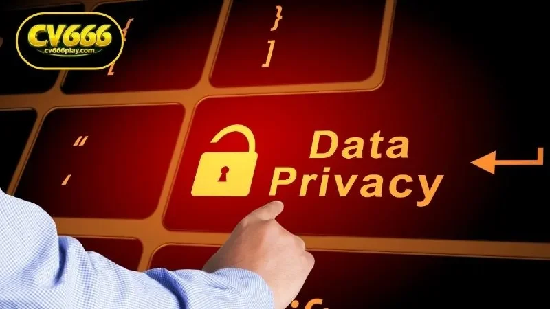 How the CV666 Privacy Policy Ensures Technical and Mobile Security