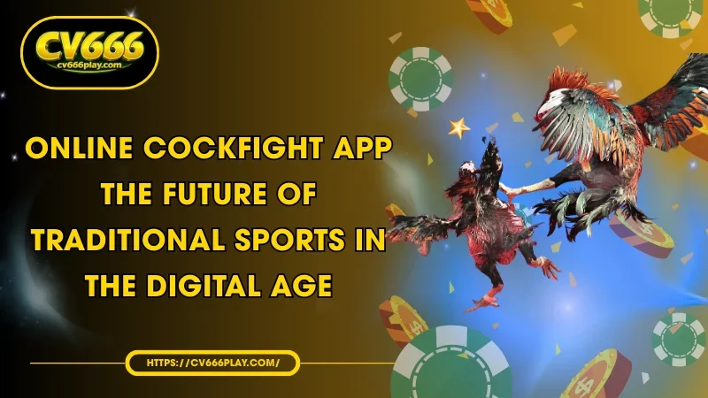 Online Cockfight App - The Future of Traditional Sports in the Digital Age